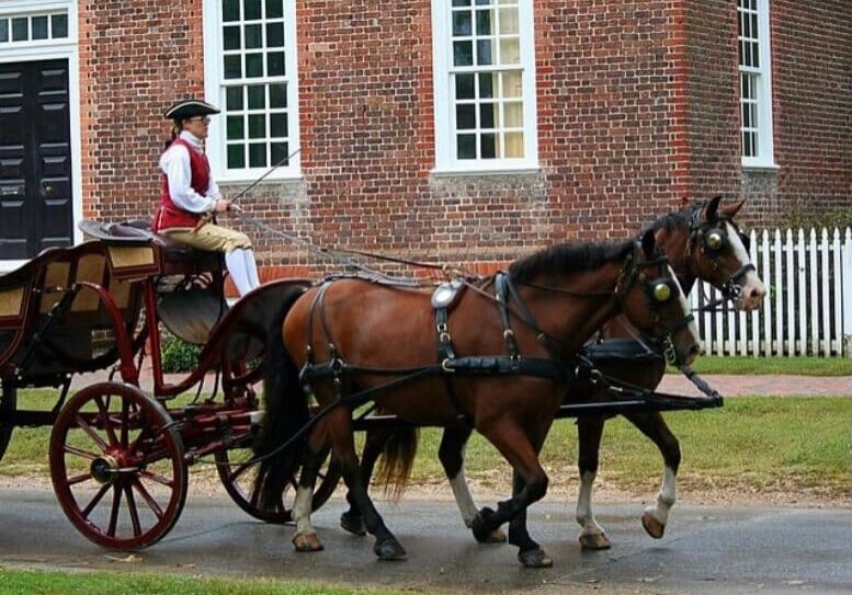 A man riding in the back of a horse drawn carriage.